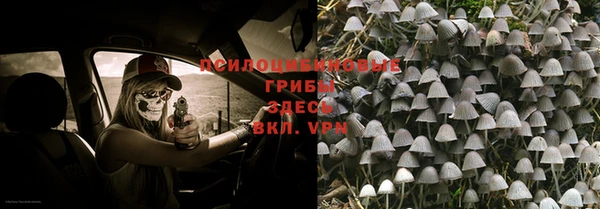 mix Алексин