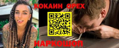 амф Кингисепп