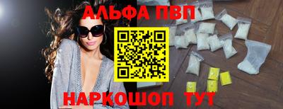 амф Кингисепп