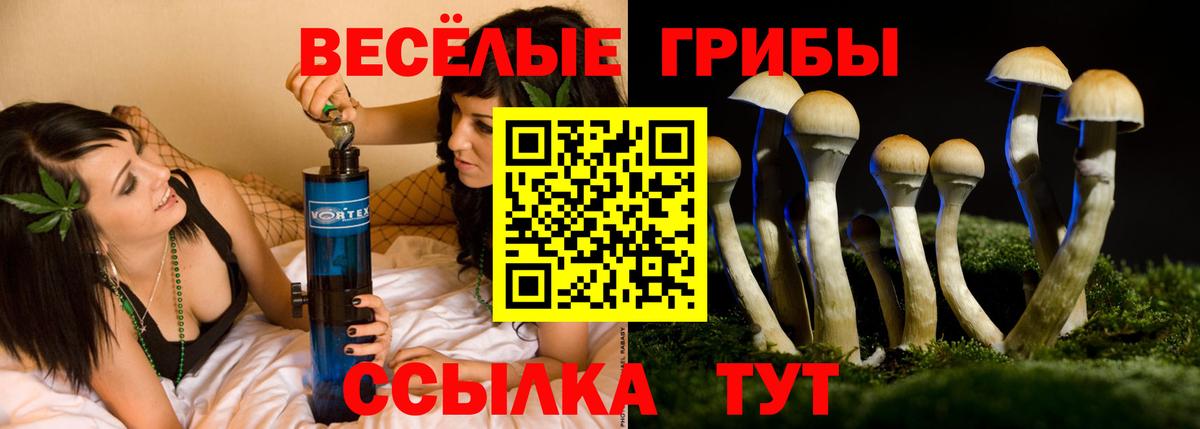 Тайшет  Галлюциногенные грибы GOLDEN TEACHER  Вход с VPN 