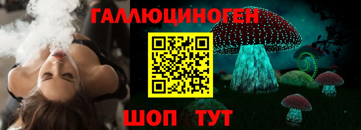 Псилоцибиновые грибы GOLDEN TEACHER Тайшет